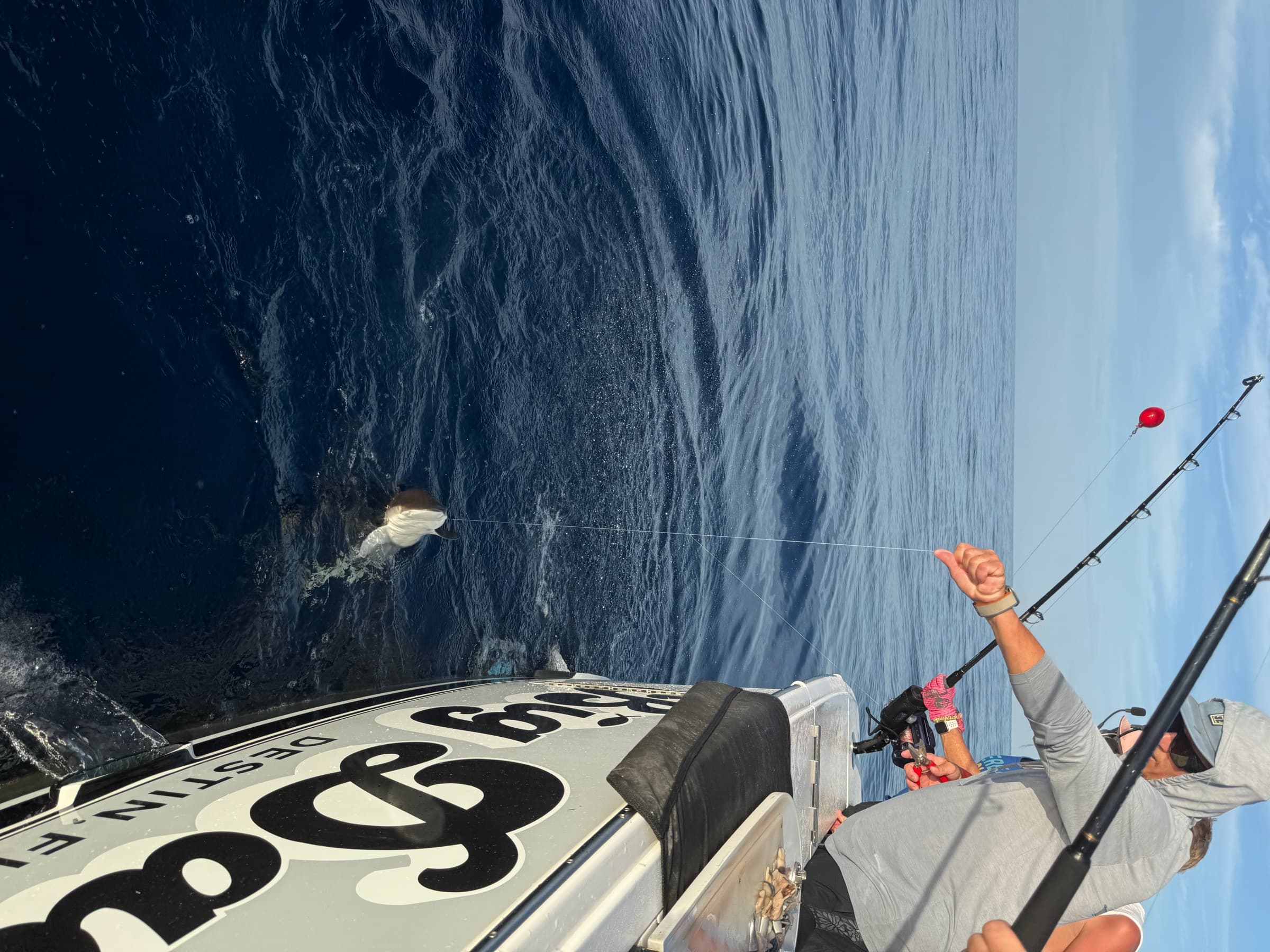 Fish on the line beside Big Daddy's hull