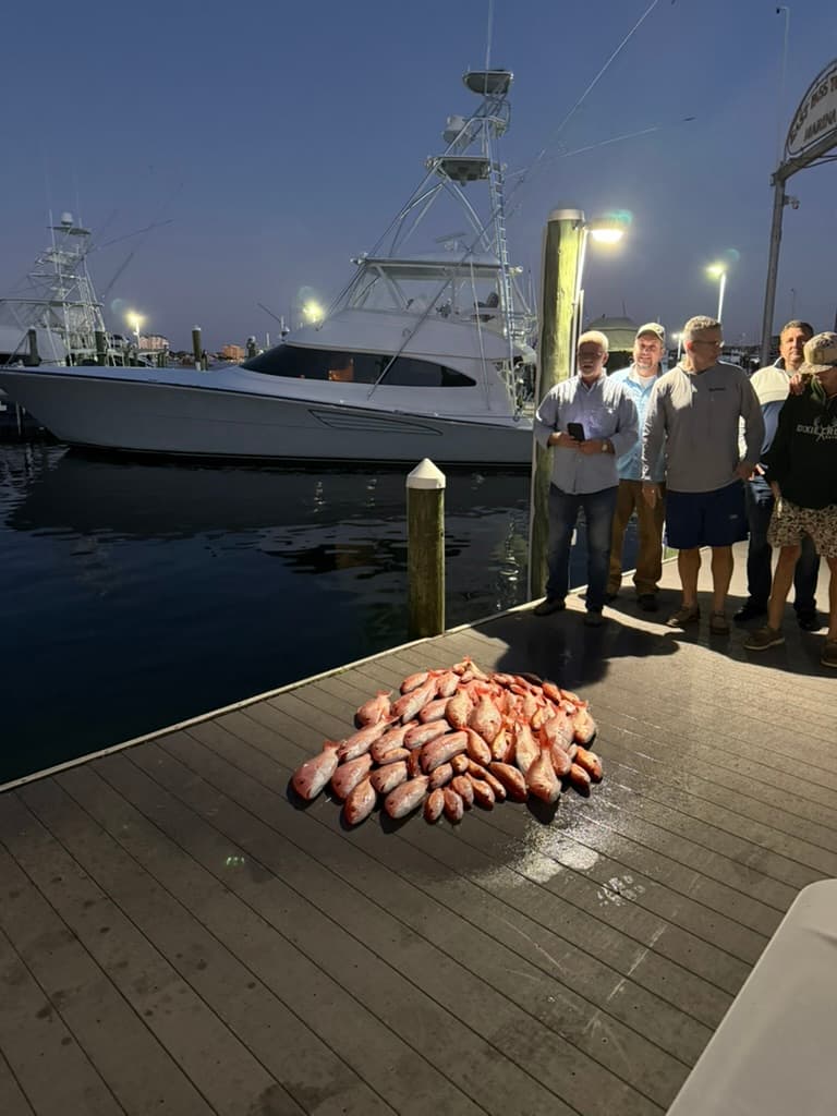 Marina at dusk with the day's haul on the pier