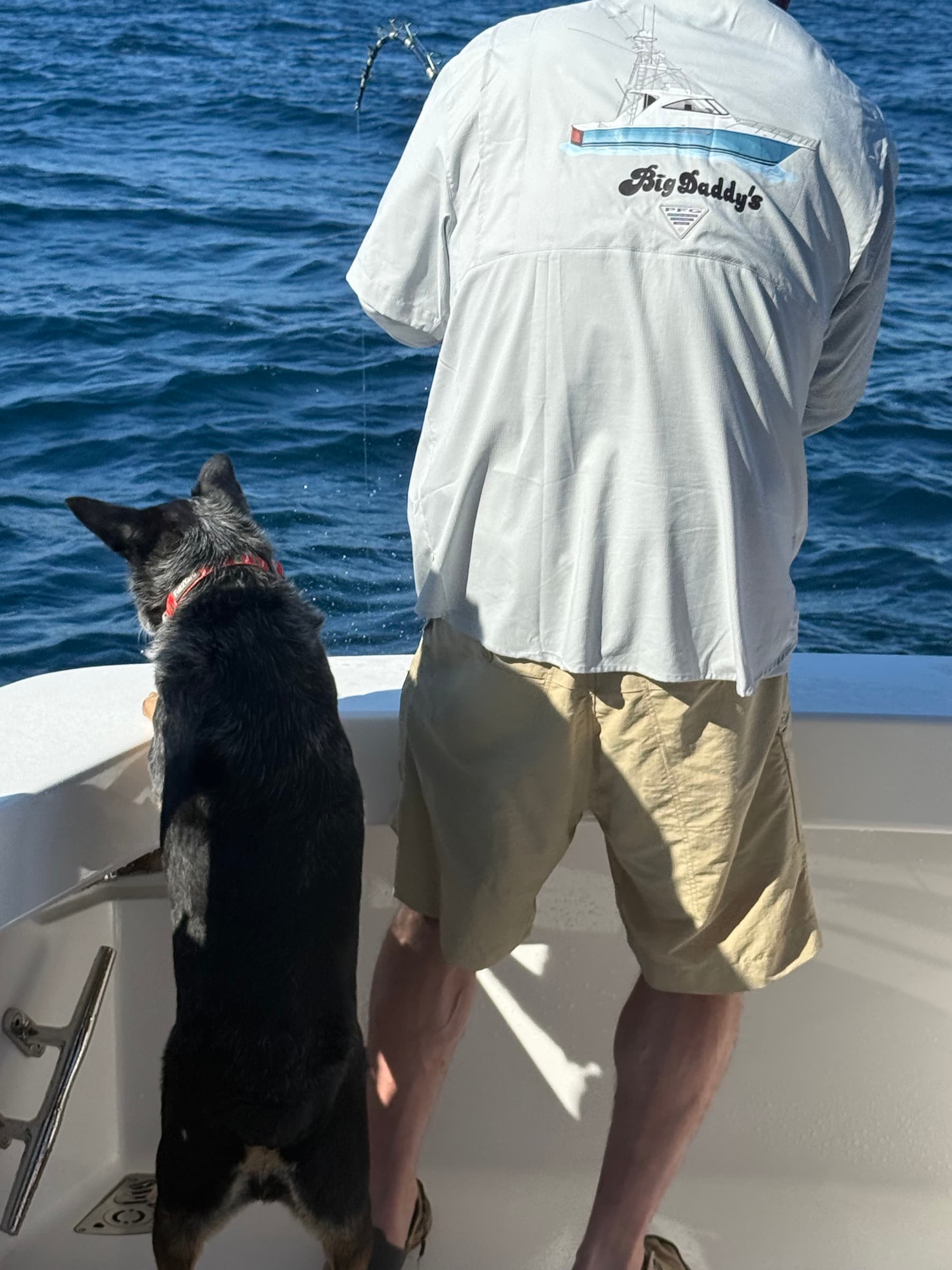 Crew in the Big Daddy's shirt watching the line, dog beside them